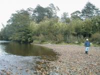 Terreno en Venta en Cisnes