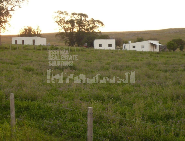Foto Campo en Venta en Pan de Azcar, Maldonado - U$D 105.000 - map64531 - BienesOnLine