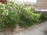 Terreno en Venta en Chilpancingo de los Bravo