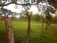 Terreno en Venta en La Chorrera