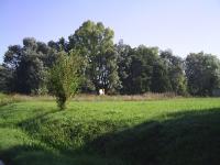Terreno en Venta en El Remanso