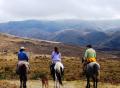 Campo en Venta en El Volcan