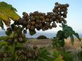 Campo en Venta en Las Lomitas
