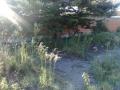 Terreno en Venta en Bernal