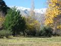 Terreno en Venta en Villa de Las Rosas