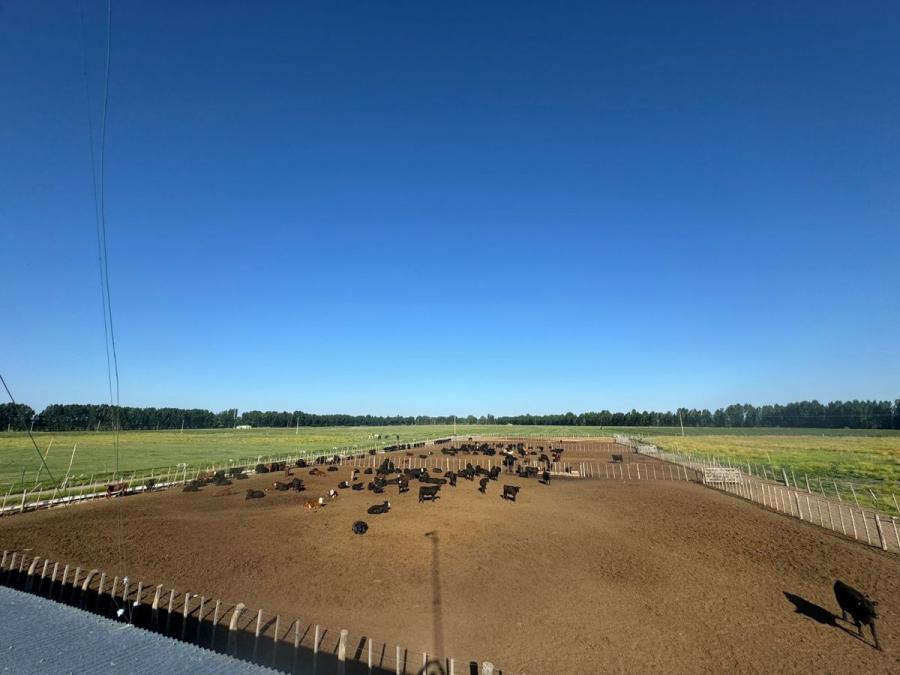 Campo en Venta en San Rafael