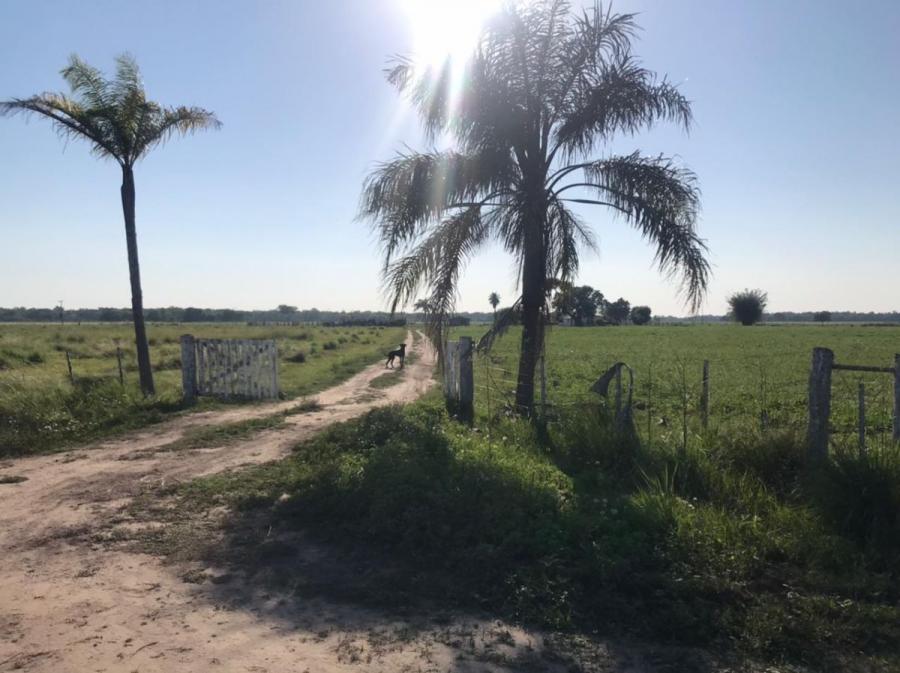Foto Campo en Venta en La Sabana, Chaco - U$D 1.900 - CPV111011 - BienesOnLine