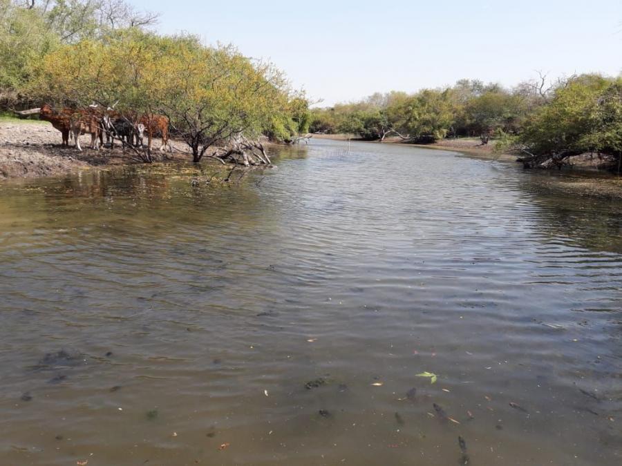 Foto Campo en Venta en Las Lomitas, Formosa - U$D 350 - CPV114057 - BienesOnLine