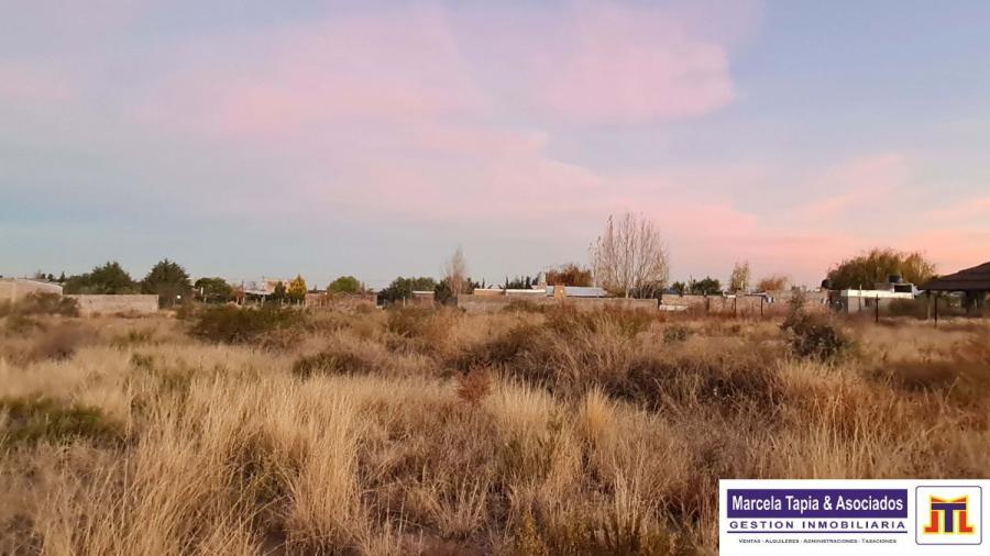Foto Terreno en Venta en el mollar, Sierras de Encalada, Mendoza - U$D 5.000 - TEV112571 - BienesOnLine