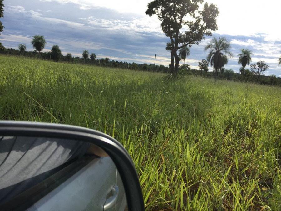 Foto Campo en Venta en Roboré, Santa Cruz - U$D 1.750.000 - CPV3424 - BienesOnLine