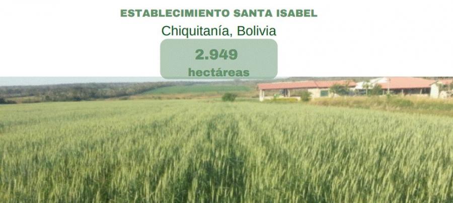 Foto Campo en Venta en San Jos de Chiquitos, Santa Cruz - 2949 hectareas - U$D 2.800 - CPV4591 - BienesOnLine