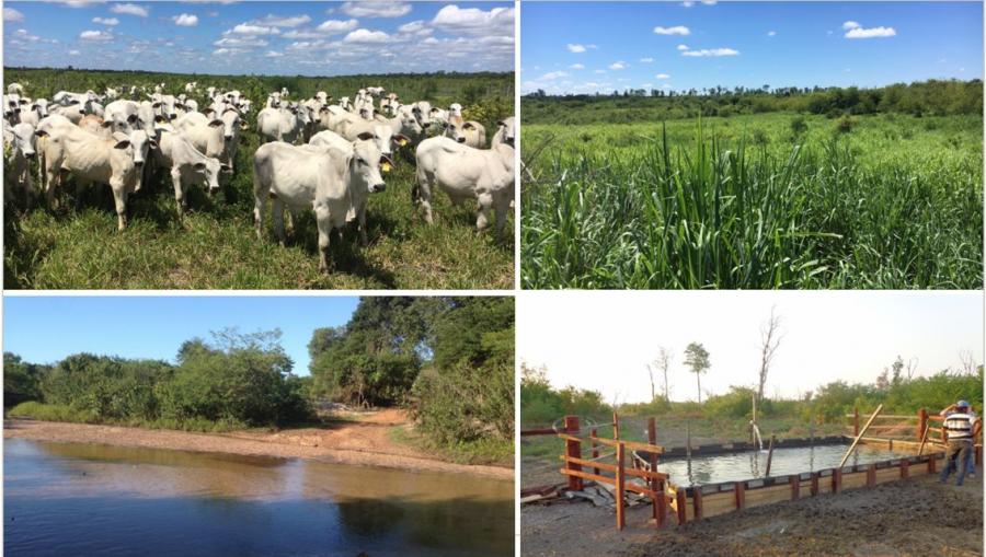 Foto Campo en Venta en German Busch, Santa Cruz - 5000 hectareas - U$D 4.000.000 - CPV6153 - BienesOnLine