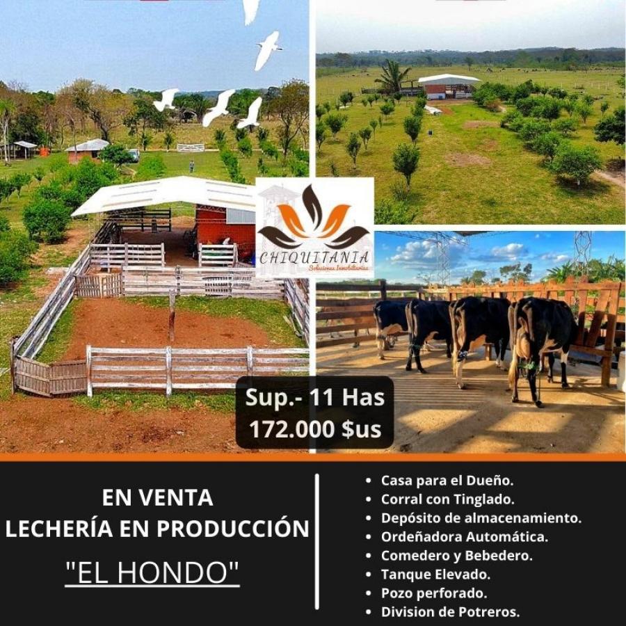 Foto Campo en Venta en El Hondo, Municipio de Porongo, Santa Cruz - U$D 172.000 - CPV5819 - BienesOnLine