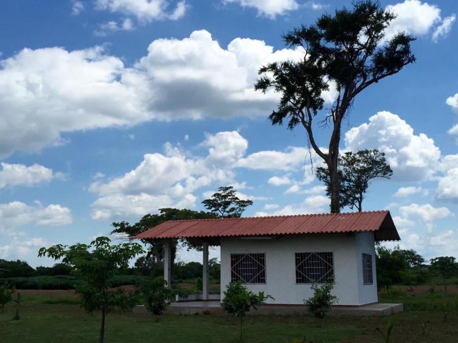 Home in Metric Way