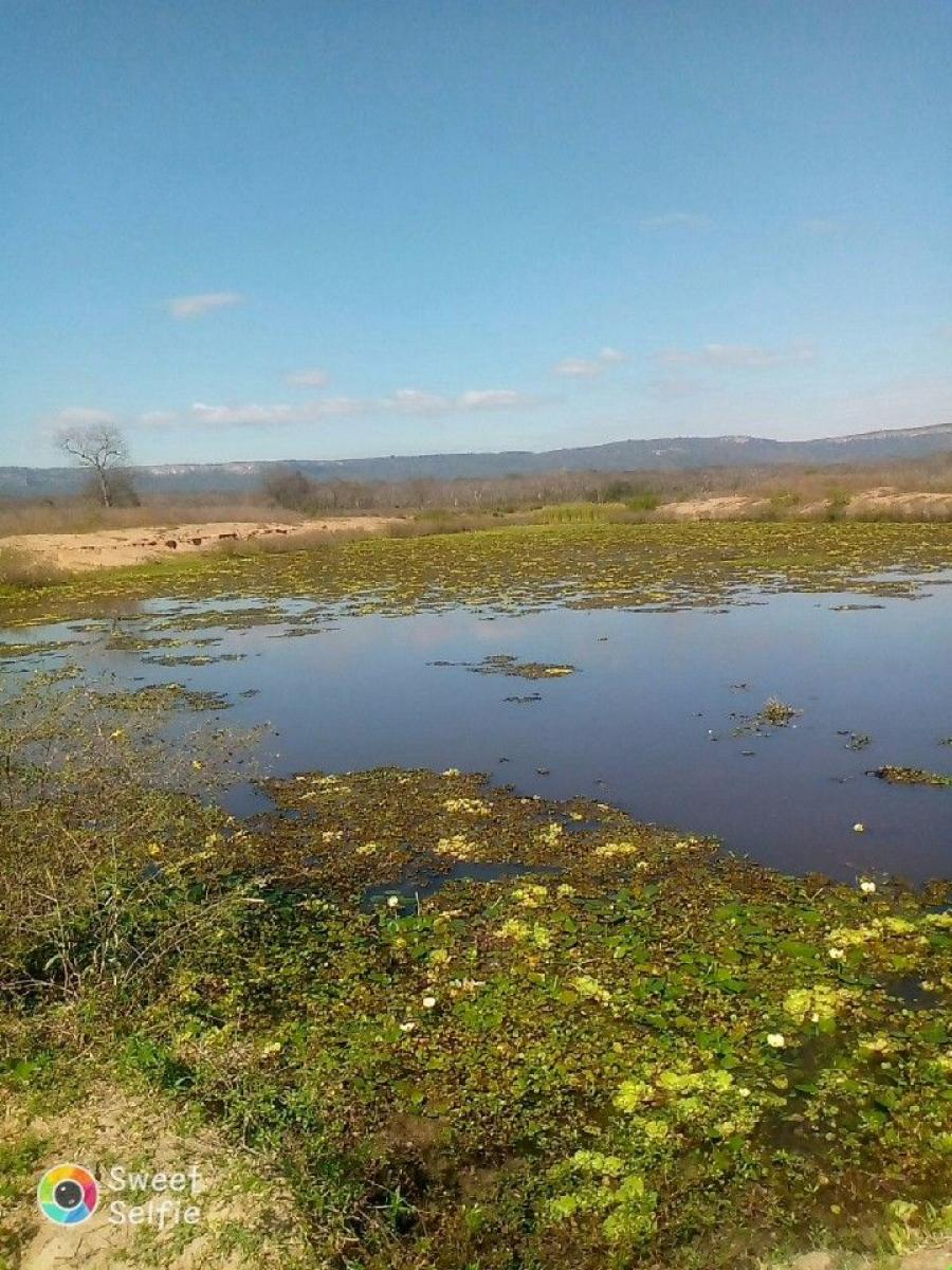 Foto Campo en Venta en San Jos de chiquitos, Santa Cruz - U$D 2.000 - CPV7508 - BienesOnLine