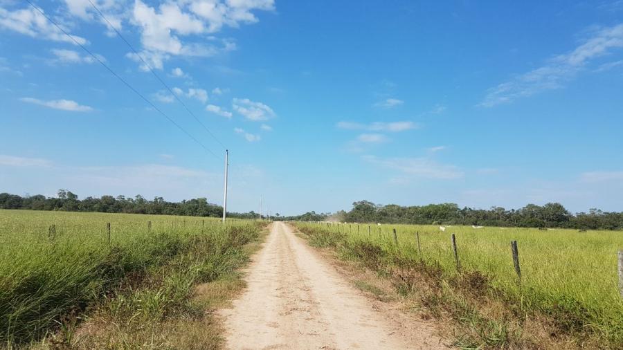 Foto Campo en Venta en Pailn, Santa Cruz - U$D 3.230.000 - CPV4854 - BienesOnLine