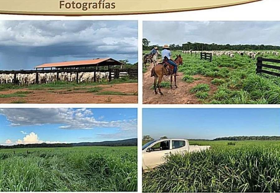 Foto Campo en Venta en San Rafael de Velasco, Santa Cruz - U$D 10.000.000 - CPV6919 - BienesOnLine