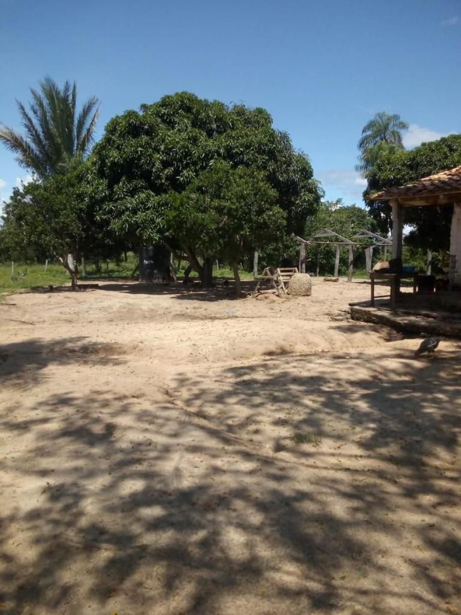 Foto Campo en Venta en San Ignacio de Velasco, Santa Cruz - U$D 541.000 - CPV6975 - BienesOnLine