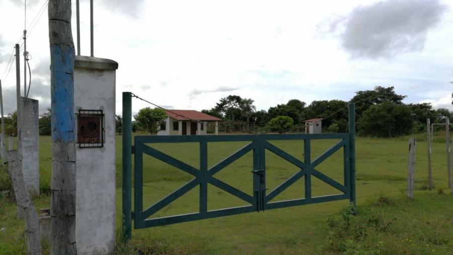 Home in Metric Way