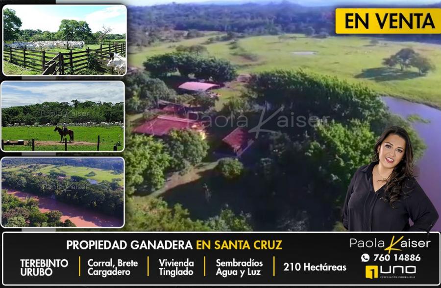 Foto Campo en Venta en urubo, Andrs Ibaez, Santa Cruz - U$D 2.100.000 - CPV7073 - BienesOnLine