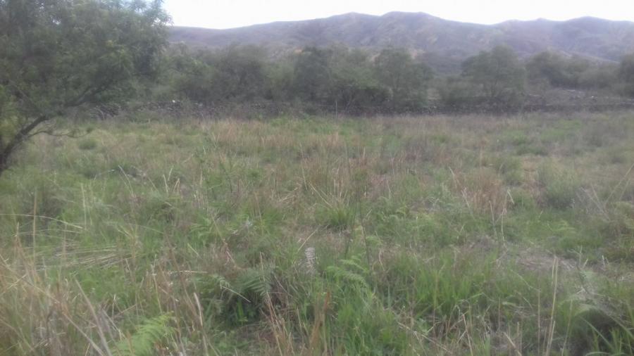 Foto Terreno en Venta en Antigal, Aviles, Tarija - 6500 hectareas - U$D 7.000 - TEV6963 - BienesOnLine