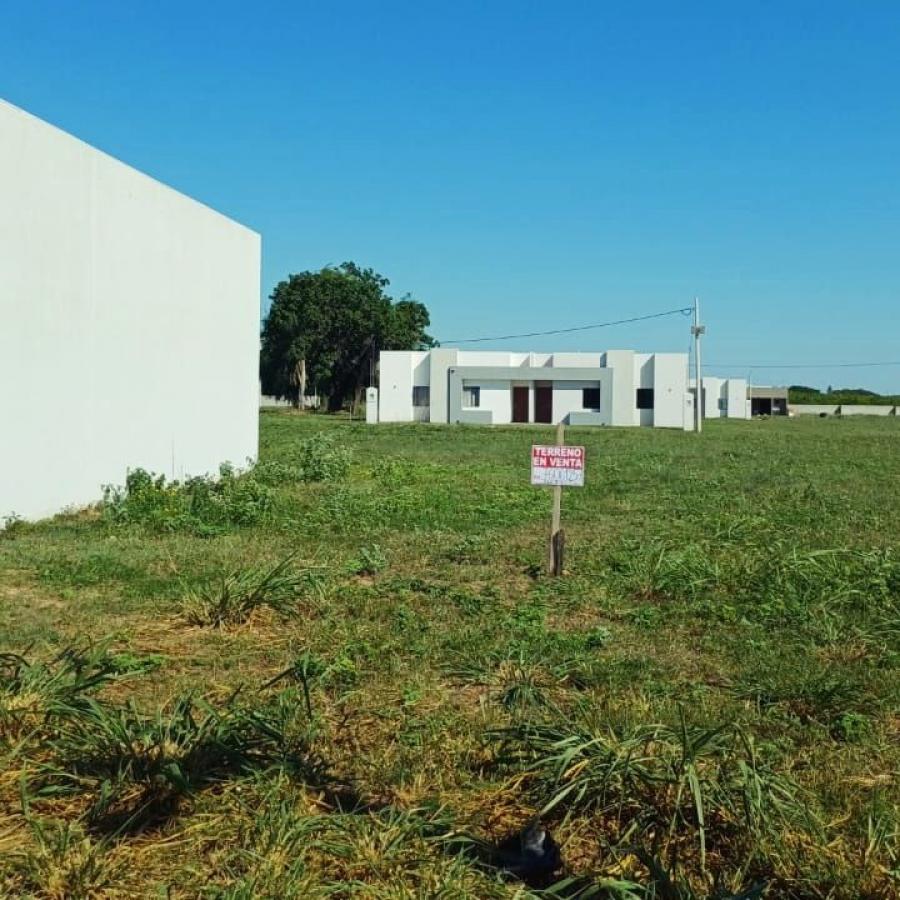Foto Terreno en Venta en Ciudad el triunfo, Localidad la enconada, Santa Cruz - U$D 13.000 - TEV7492 - BienesOnLine