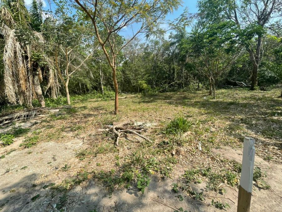 Foto Terreno en Venta en URUBO, Urubo, Santa Cruz - U$D 55.200 - TEV5942 - BienesOnLine