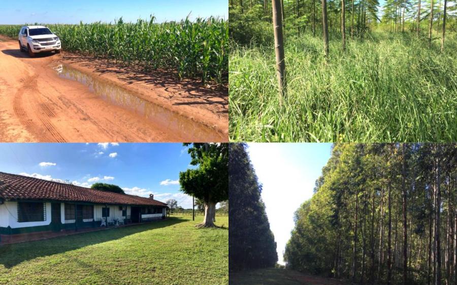 Foto Campo en Venta en concepcin, concepcin, Paraguay, Santa Cruz - U$D 10.665.585 - CPV6152 - BienesOnLine