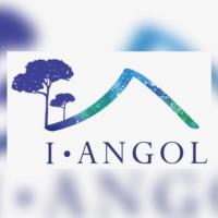 inmobiliaria Angol