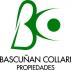 Bascuñan Collari Propiedades