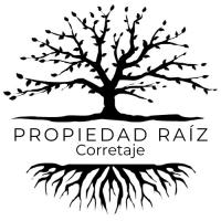 Propiedad Raíz