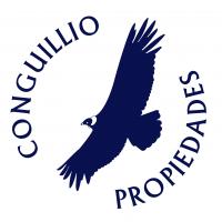 CONGUILLIO PROPIEDADES