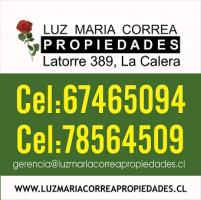 luz maria correa propiedades