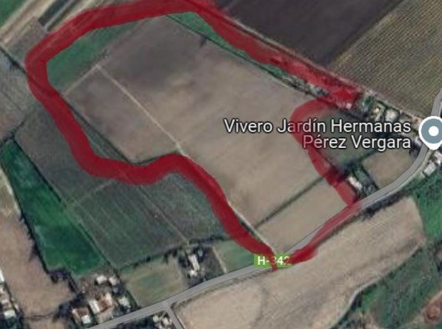 Foto Agricola en Arriendo en Monte Grande, Coltauco, Cachapoal - 7 hectareas - $ 1.000.000 - AGA156503 - BienesOnLine
