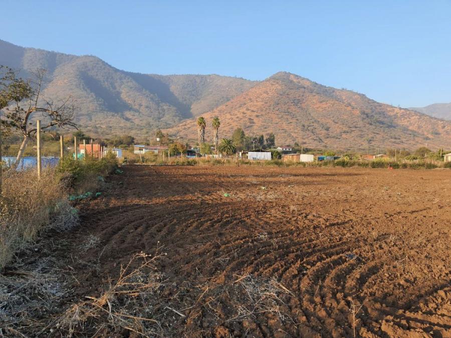 Foto Agricola en Venta en el melon, Nogales, Quillota - $ 65.000.000 - AGV130999 - BienesOnLine