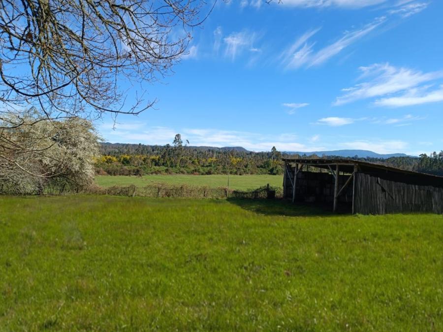 Foto Agricola en Venta en Sur de Chile, Folilco, Valdivia - $ 45.000.000 - AGV137601 - BienesOnLine