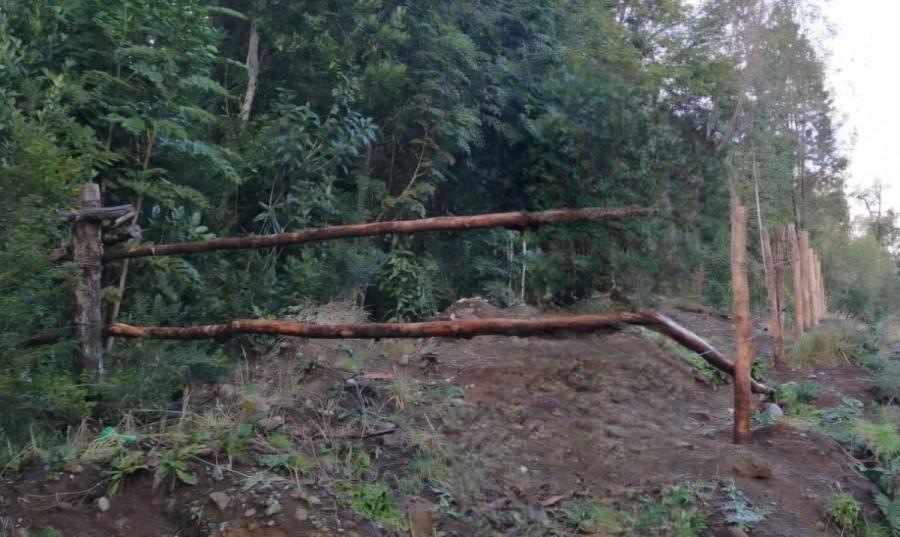 Foto Agricola en Venta en Quemchi, Chiloe - UFs 2.138 - AGV158430 - BienesOnLine