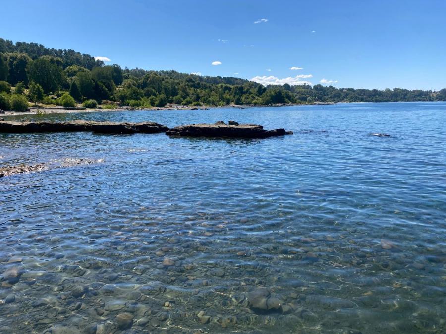 Foto Casa en Arriendo en Puerto Nuevo, La Unión, Valdivia - $ 320.000 - CAA156822 - BienesOnLine