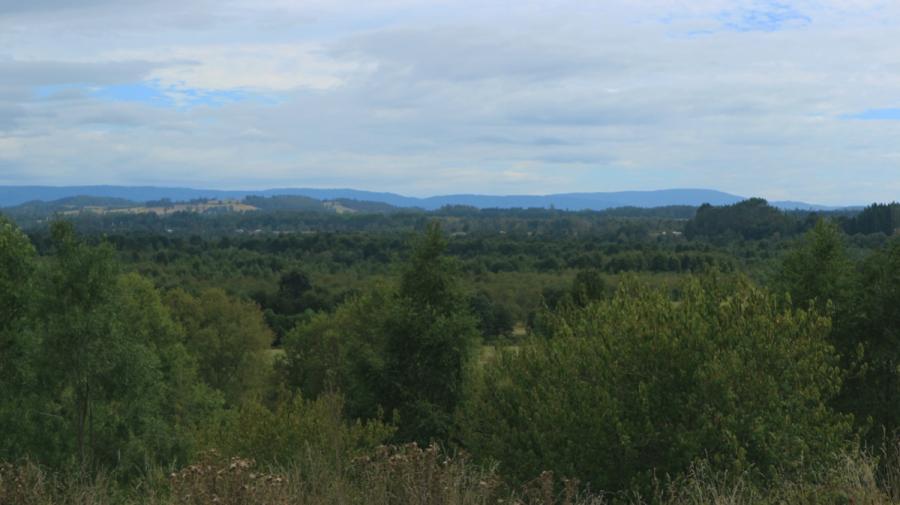 Foto Casa en Venta en Santa Filomena, Paillaco, Valdivia - $ 110.000.000 - CAV138678 - BienesOnLine