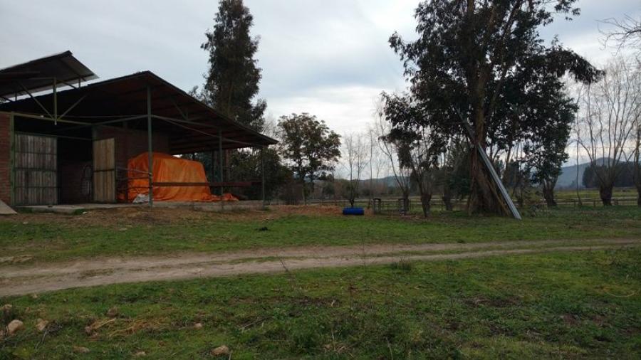Foto Parcela en Venta en Llaveria, Las Cabras, Cachapoal - UFs 1.900 - PAV114991 - BienesOnLine