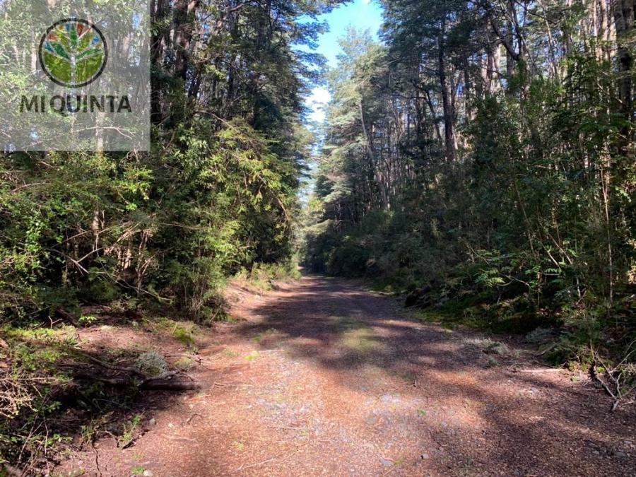 Foto Parcela en Venta en Coñaripe, Panguipulli, Valdivia - $ 48.000.000 - PAV140667 - BienesOnLine