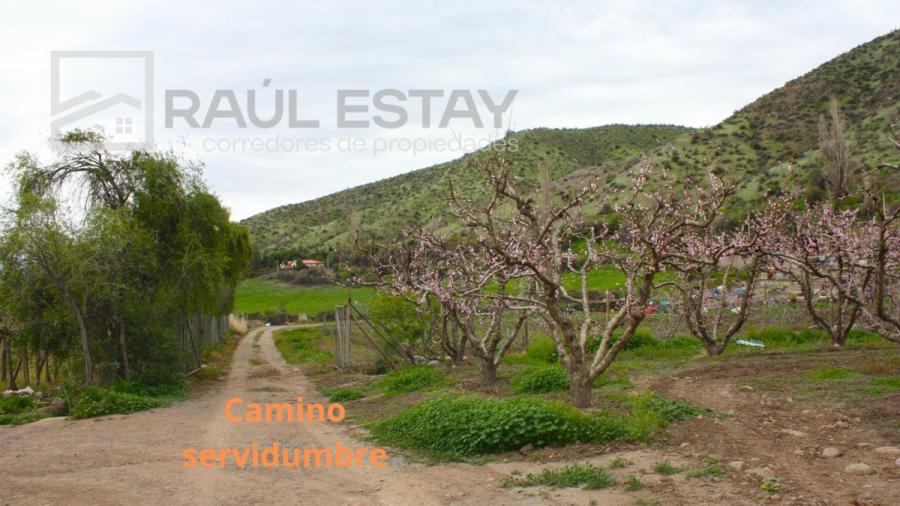 Foto Parcela en Venta en San Esteban, Los Andes - $ 47.000.000 - PAV144908 - BienesOnLine