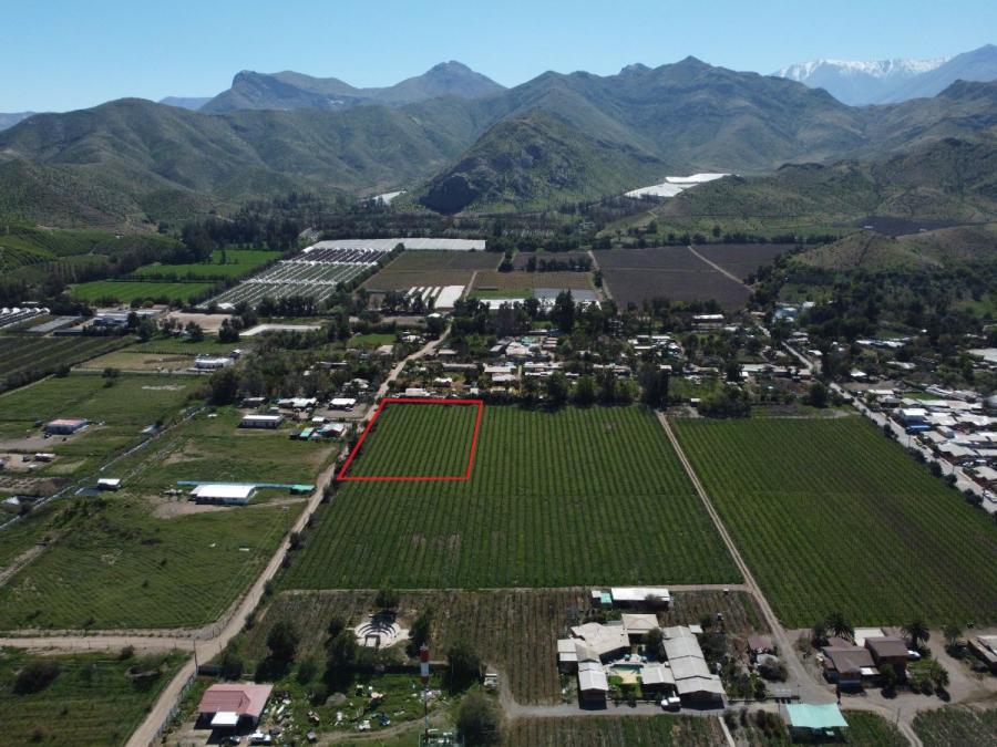 Foto Parcela en Venta en Vicuña, Elqui - 5051 hectareas - UFs 2.100 - PAV155315 - BienesOnLine