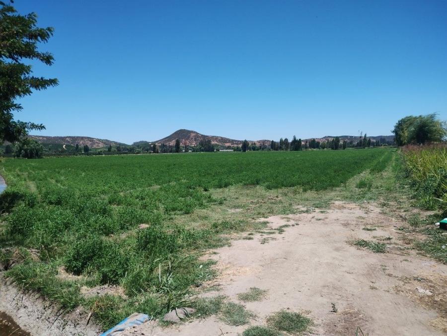 Foto Parcela en Venta en Las Pataguas, Pichidegua, Cachapoal - 10 hectareas - $ 600.000.000 - PAV155914 - BienesOnLine