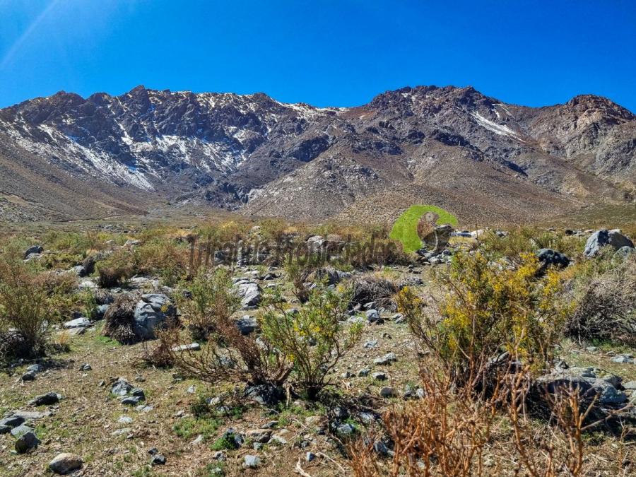 Foto Parcela en Venta en Valle del Elqui, Vicuña, Elqui - $ 13.000.000 - PAV157395 - BienesOnLine