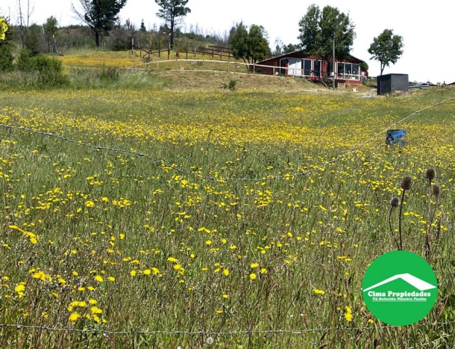 Foto Parcela en Venta en Quillón, Ñuble - $ 129.000.000 - PAV157870 - BienesOnLine