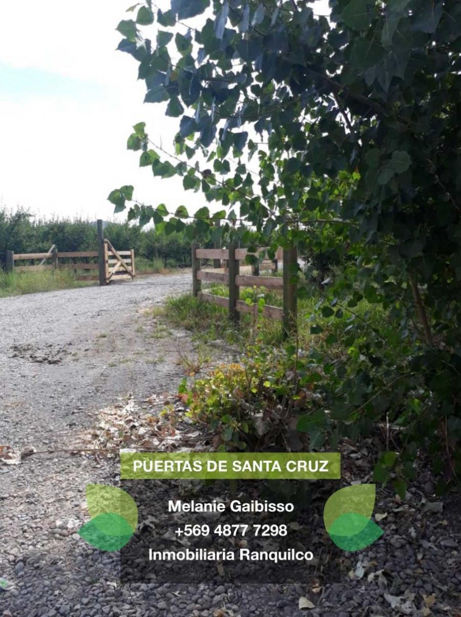 Foto Parcela en Venta en Santa Cruz, Colchagua - UFs 1.300 - PAV88001 - BienesOnLine