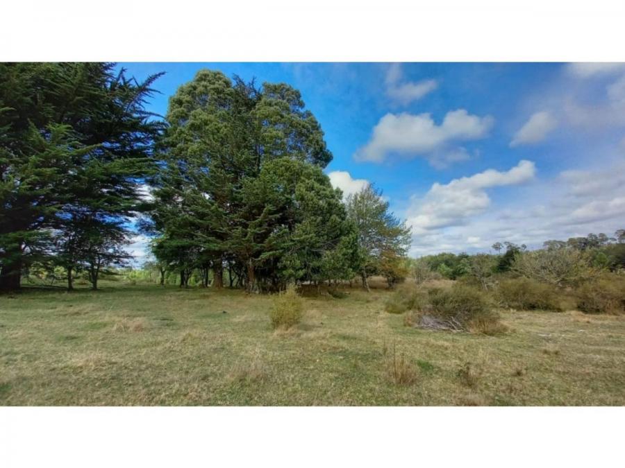 Foto Terreno en Venta en Ancud, Chiloe - $ 16.700.000 - TEV135539 - BienesOnLine