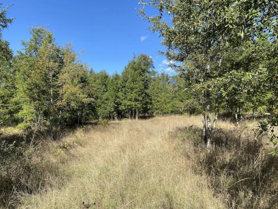 Foto Terreno en Venta en Pucón, Cautin - $ 90.000.000 - TEV146009 - BienesOnLine