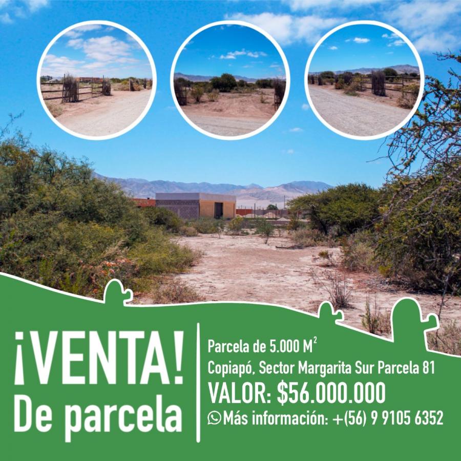 Foto Terreno en Venta en Margarita Sur, Margarita Sur, Copiapó - 1 hectareas - $ 56.000.000 - TEV147761 - BienesOnLine